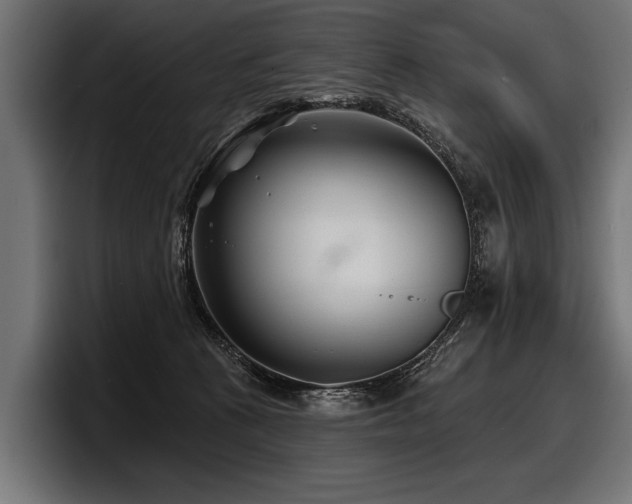 X0000097950273200803241159