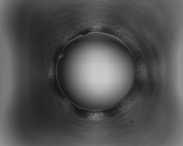 X0000097950274200803241159