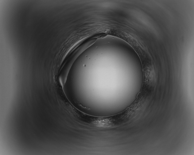 X0000097950278200803241159