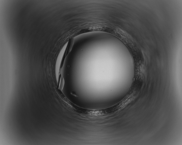 X0000097950281200803241159