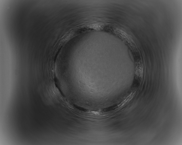 X0000097950285200803241159
