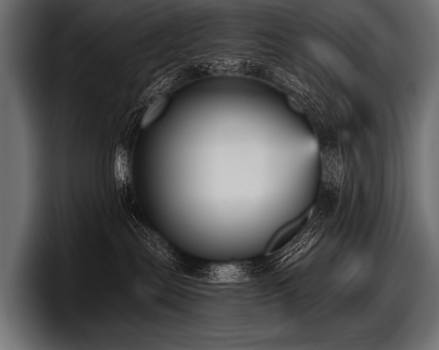 X0000097950287200803241159