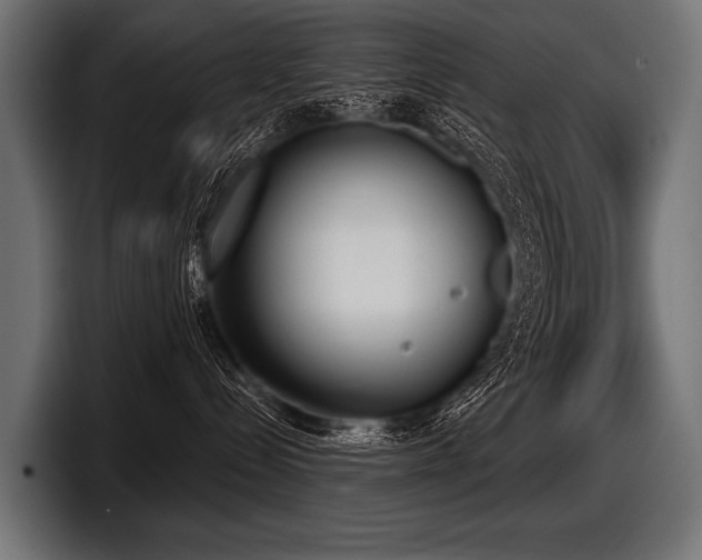 X0000097950288200803241200