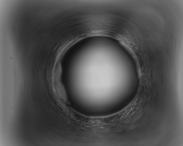 X0000097950289200803241159