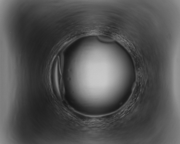 X0000097950290200803241159