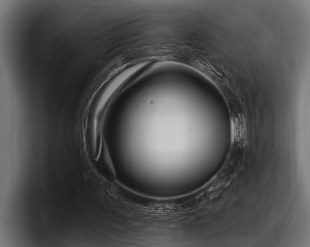 X0000097950291200803241159