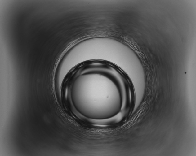 X0000097950292200803241159