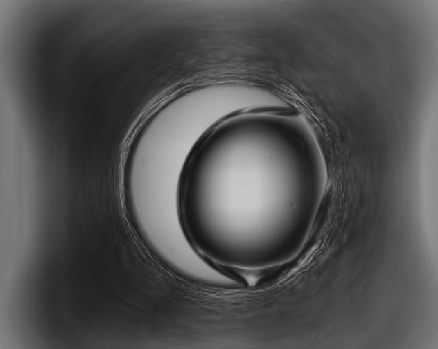 X0000097950293200803241159
