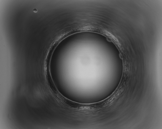 X0000097950298200803241159