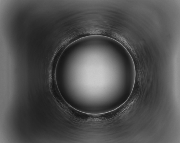 X0000097950299200803241159