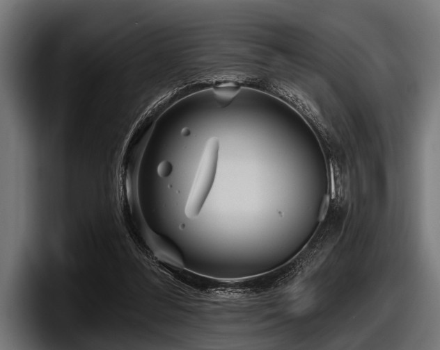X0000097950300200803241159