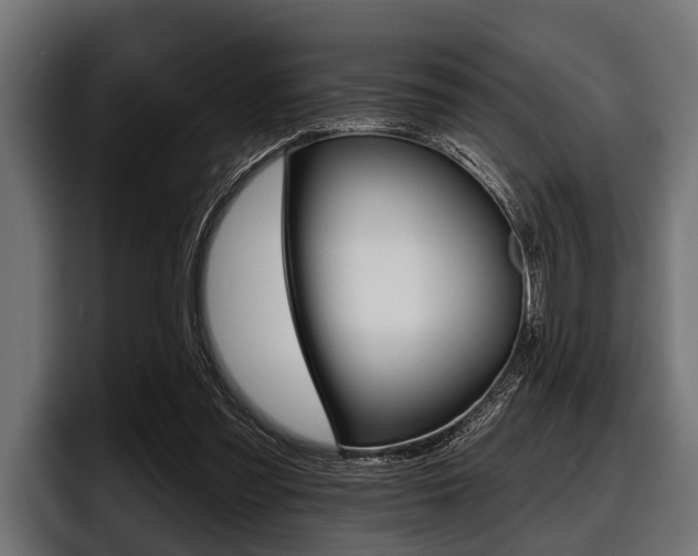 X0000097950301200803241159