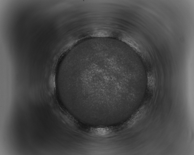 X0000097950302200803241159