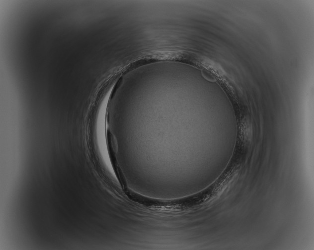 X0000097950303200803241159