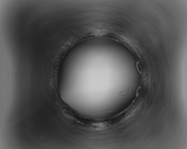 X0000097950307200803241159