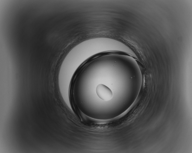 X0000097950308200803241159