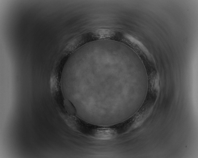 X0000097950316200803241159