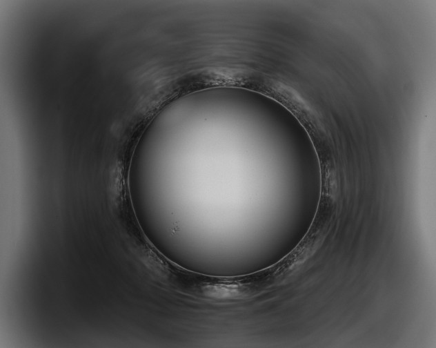 X0000097950318200803241159