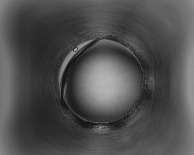 X0000097950319200803241158