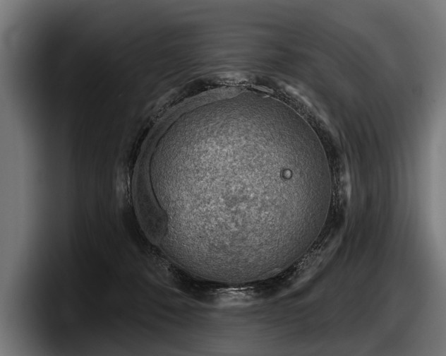 X0000097950320200803241158