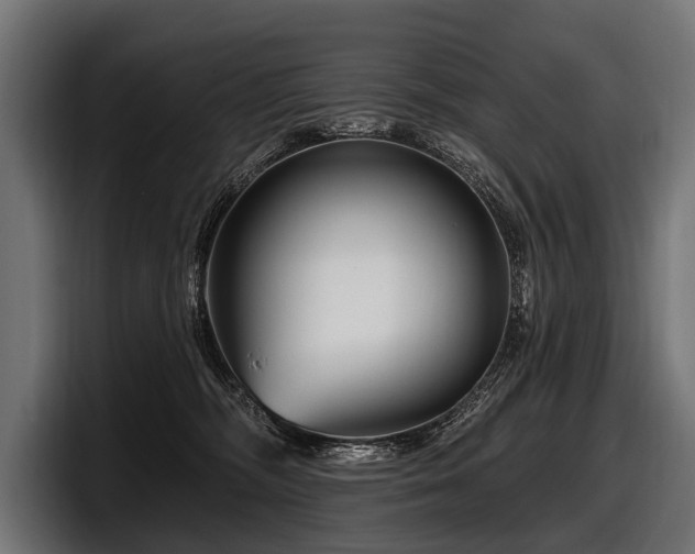 X0000097950326200803241158