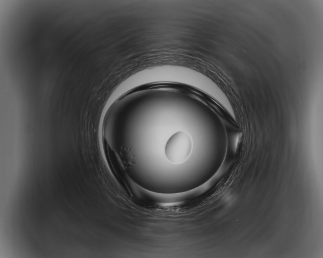 X0000097950328200803241158