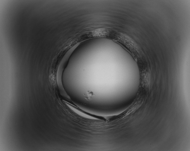 X0000097950329200803241158