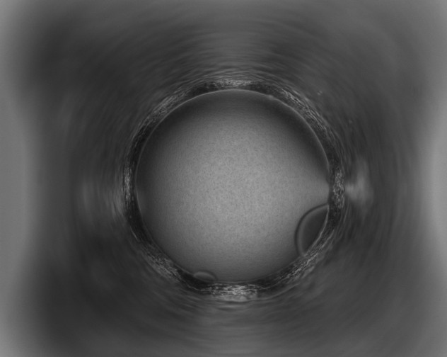 X0000097950330200803241158