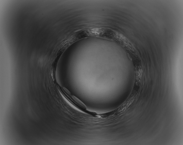 X0000097950331200803241158
