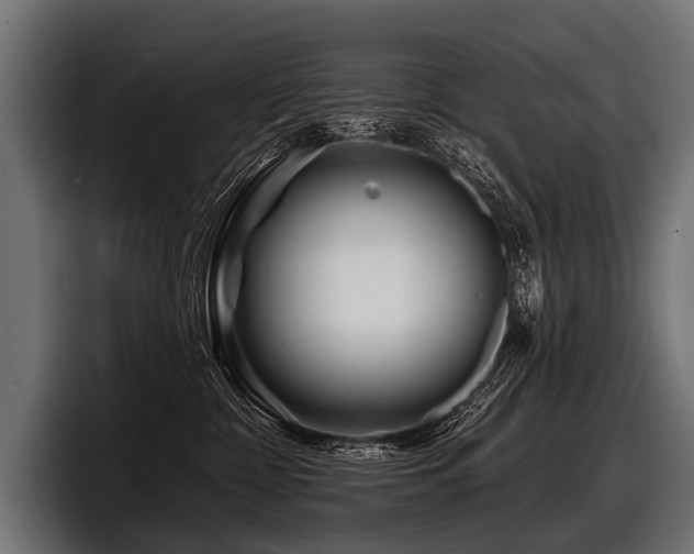 X0000097950332200803241158