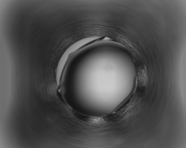 X0000097950333200803241158