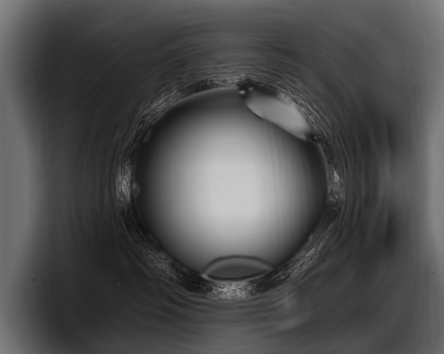 X0000097950334200803241158