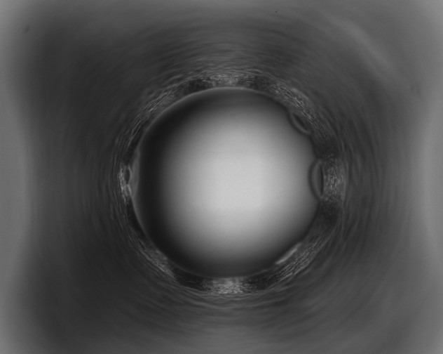 X0000097950335200803241158