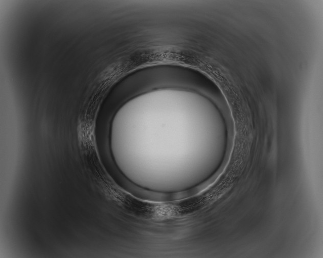X0000097950336200803241158