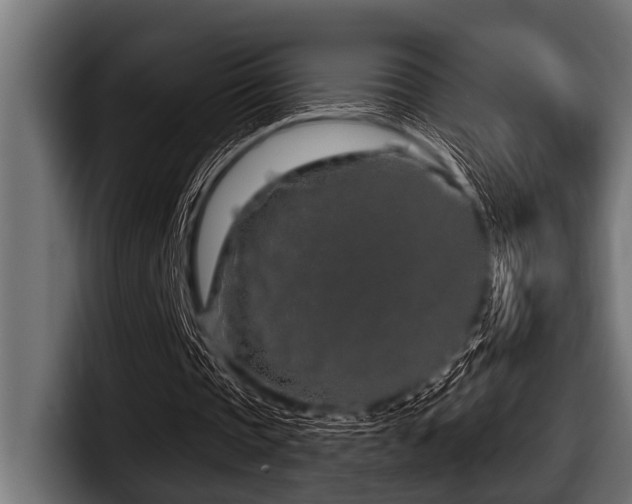 X0000097950337200803241158