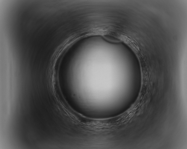 X0000097950338200803241158