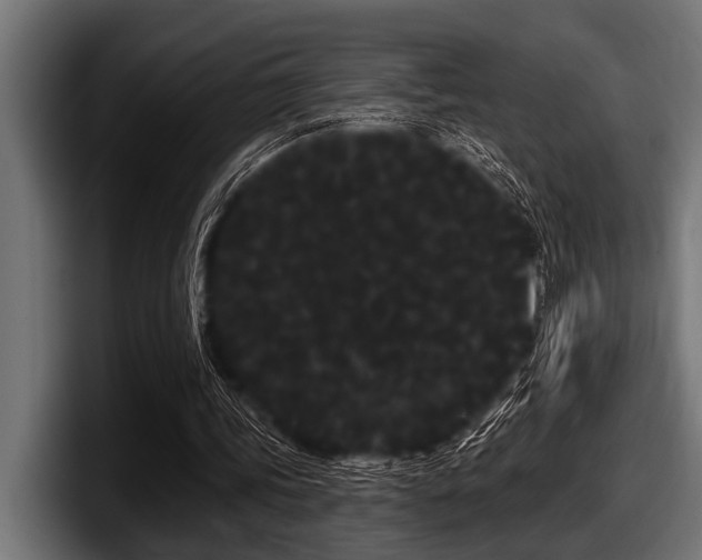 X0000097950339200803241158