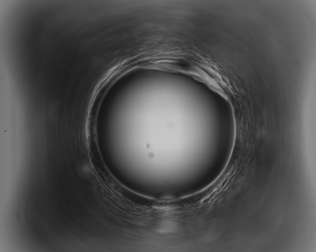 X0000097950340200803241158