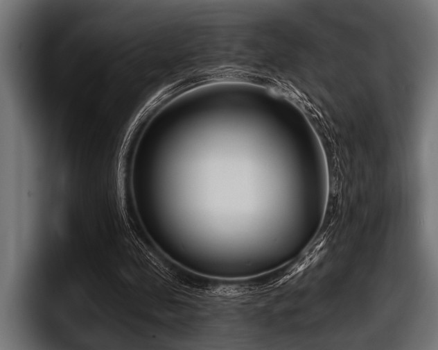 X0000097950341200803241158