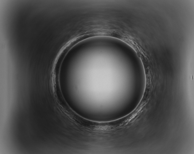 X0000097950342200803241158