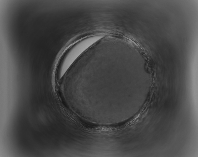 X0000097950343200803241158