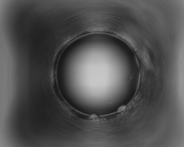 X0000097950345200803241158
