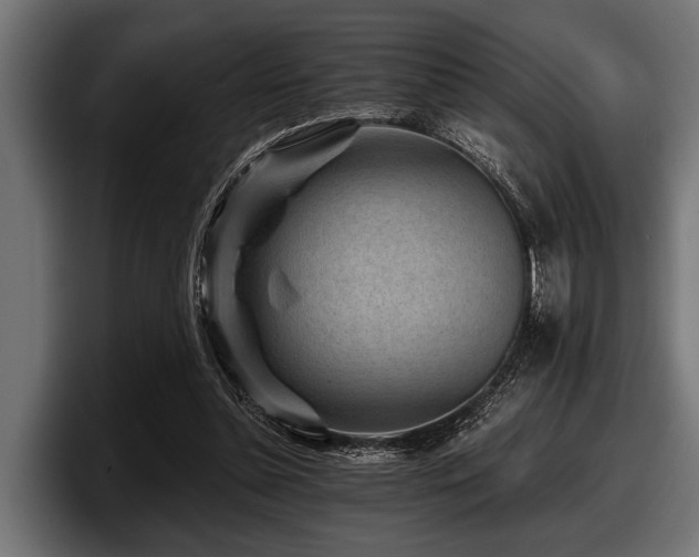 X0000097950348200803241158