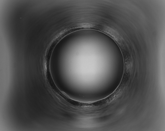 X0000097950350200803241158