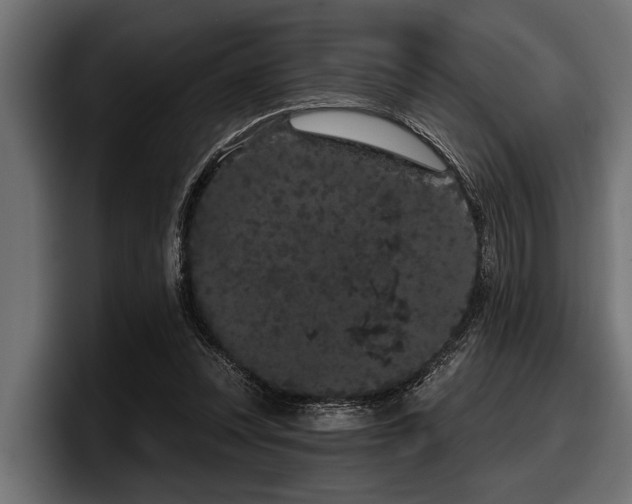 X0000097950351200803241158