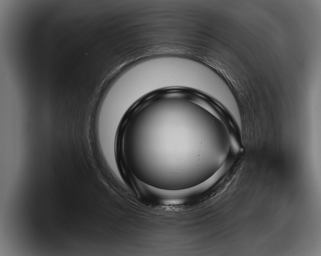 X0000097950352200803241158