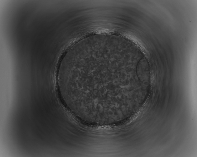 X0000097950353200803241158