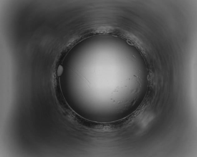 X0000097950354200803241158