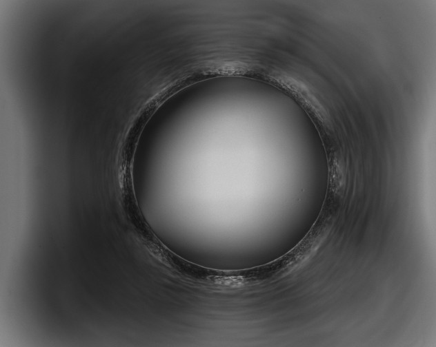 X0000097950355200803241158