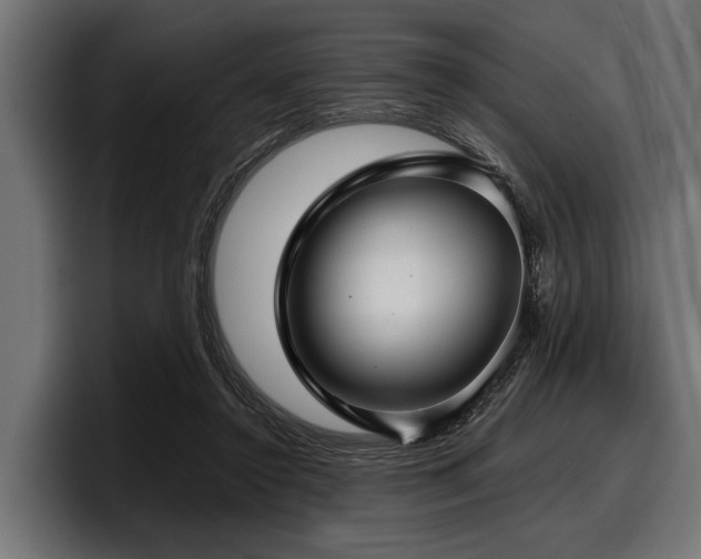 X0000097950356200803241158